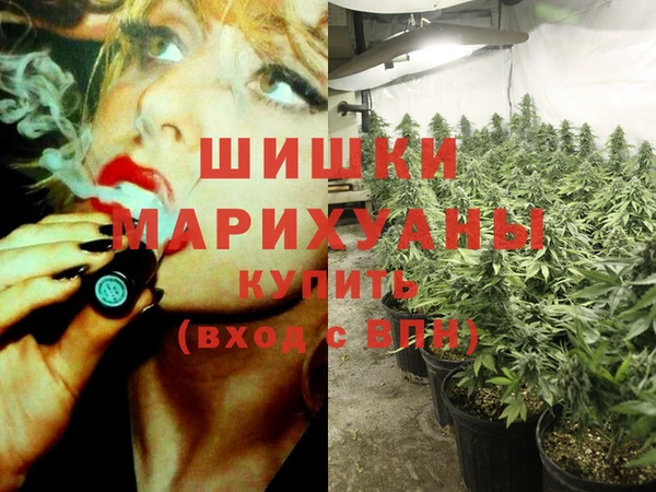 мдпв Белокуриха