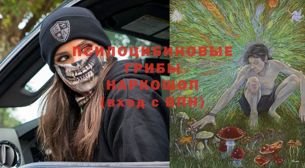 сатива Белоозёрский