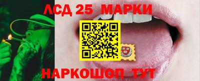 гидропоника Коммунар