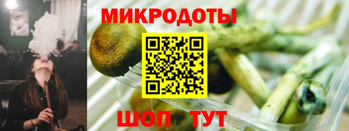 Псилоцибиновые грибы GOLDEN TEACHER  Галлюциногенные грибы прущие грибы  Малоярославец  Вход с VPN 
